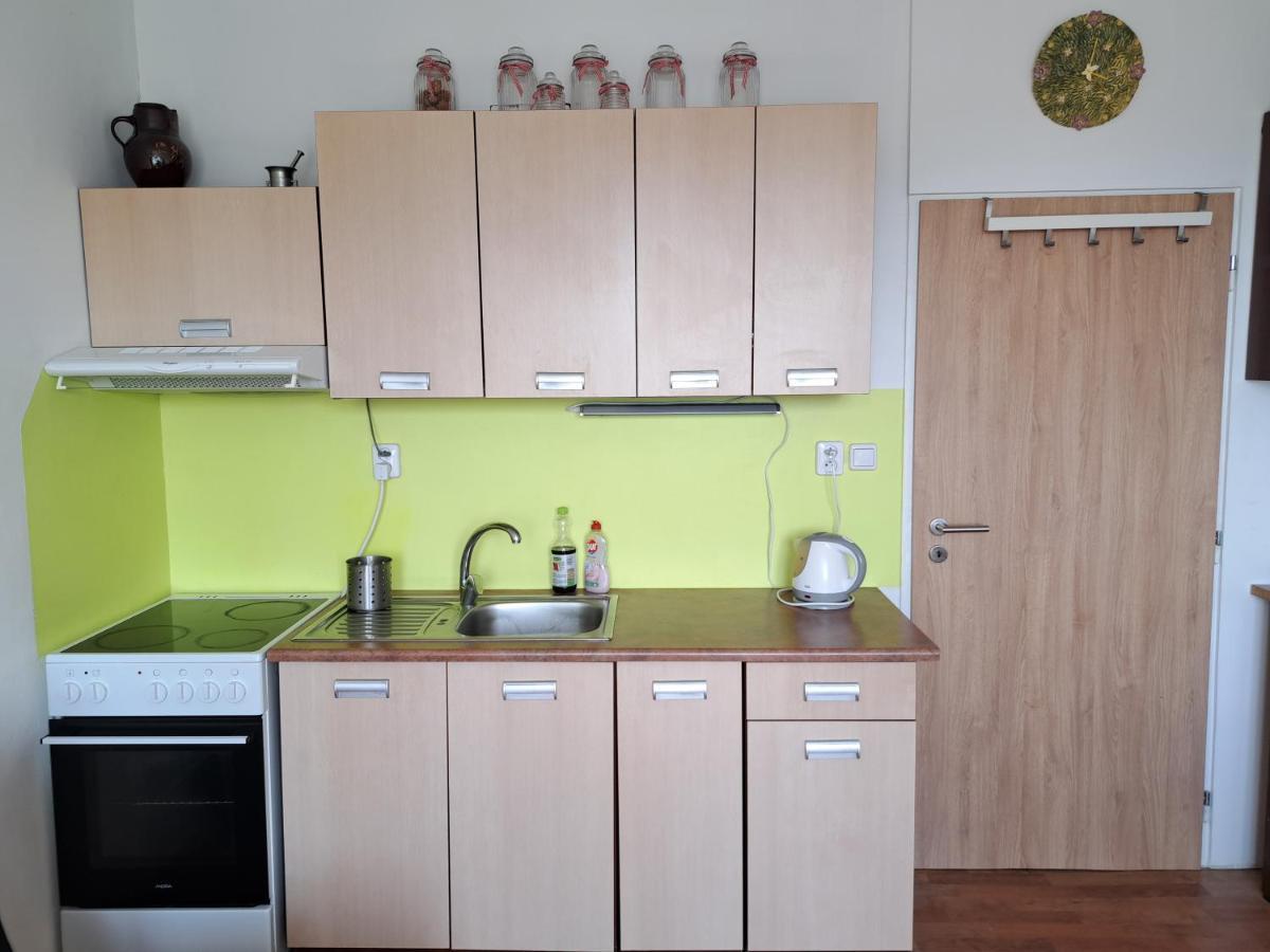 Apartman V Podhuri Krusnych Hor Sokolov Zewnętrze zdjęcie